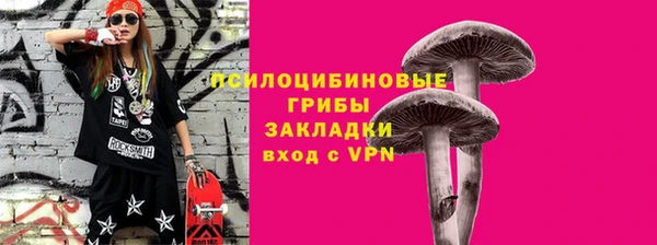 таблы Алексин