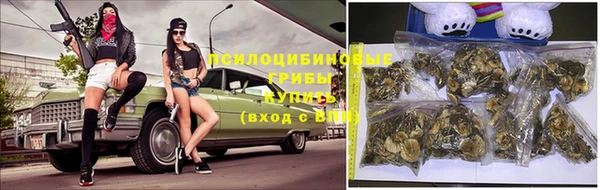 таблы Алексин